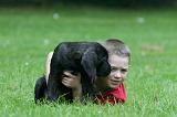 ENFANT ET CHIEN 493